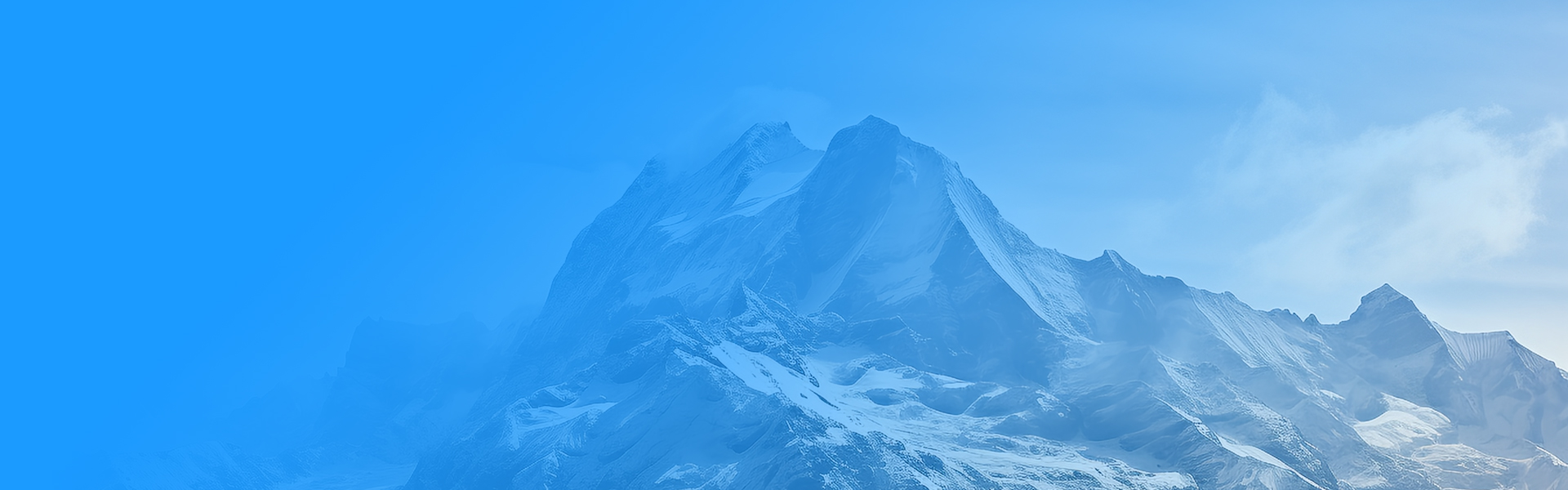 願景